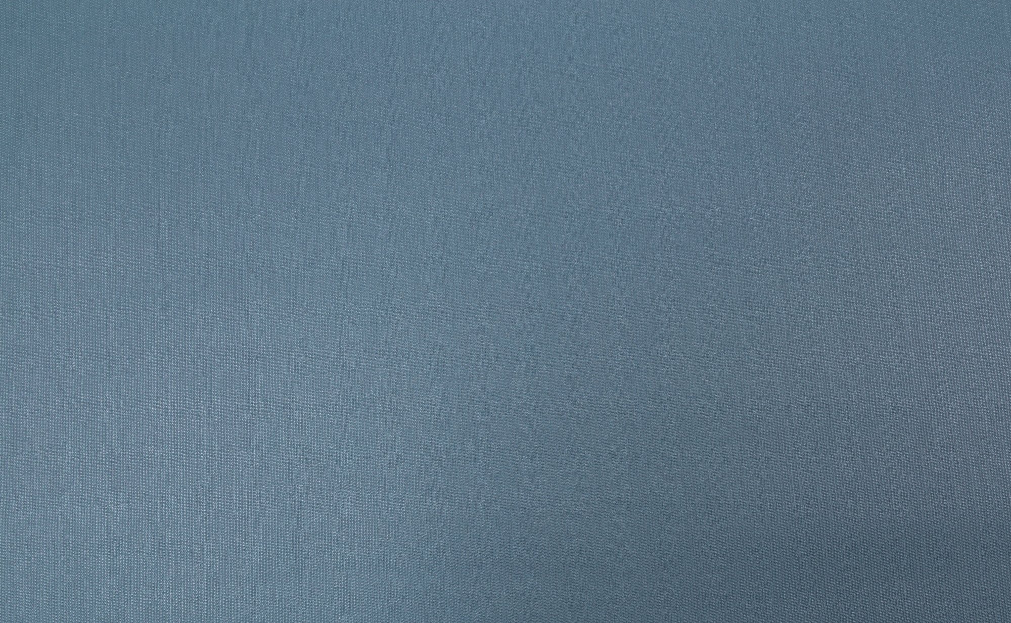 CAT_MACRO_PHOTOkI_PL72947-66_(1)